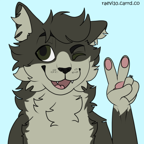 A light and dark gray anthro cat winking and holding up a peace sign