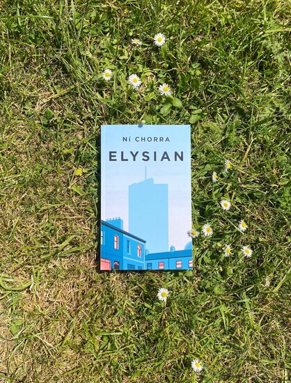 the novel Elysian by me lying in dry grass with a few daisies above and flanking its right side.