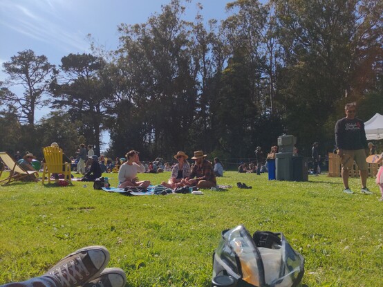 Sunny day on the grass in Golden Gate Park, San Francisco
