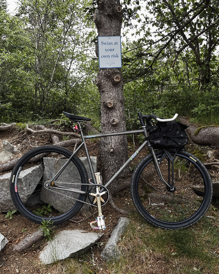A fixed gear bicycle leaning against a tree in the forest.