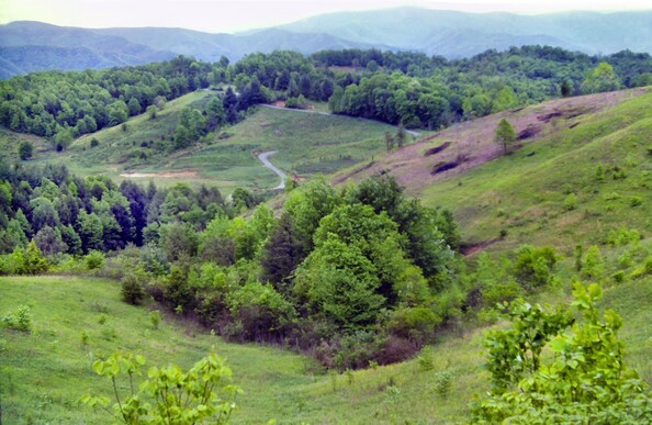 Beneath an overcast sky, we are standing at the top of a meadow running down the mountainside towards a valley below. The sides of the meadow also slope upward to our left and right, rather steeply towards the top on our right. There is a patch of forest at the bottom of the meadow. A rural two-lane runs through the valley below, past a patchwork of farm fields and forest. Beyond the valley rise several green thickly-forested ridges.