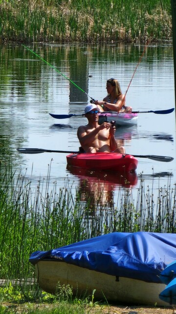 A man wearing sunglasses and a woman each fish from a kayak on a still lake on a hot, bright day.