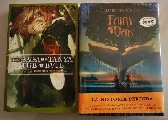 A pair of books. One is "The Saga of Tanya The Evil", volume 10, and the other is "Fairy Oak: La Historia Perdida".

Un par de libros. Uno es "The Saga of Tanya The Evil", volumen 10, y el otro es "Fairy Oak: La Historia Perdida".