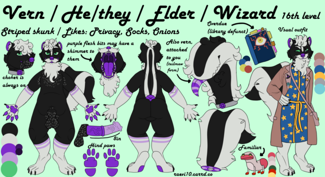 a large reference sheet for an anthro skunk named vern, vern is a relatively normal striped skunk except their arms and legs have 'socks' that resemble actual socks, double colored bands and all, they have purple flesh on their nose and in their ears and striking green eyes, he has a large black sheath with white strands of fur speckled all throughout it, and a large 8in purple horse cock