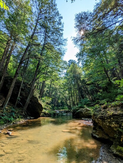 Landscape picture of a creek