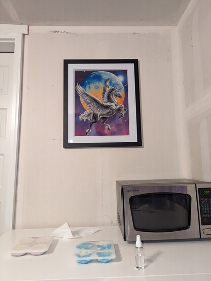 A picture of the framed diamond dotz picture hanging on a wall