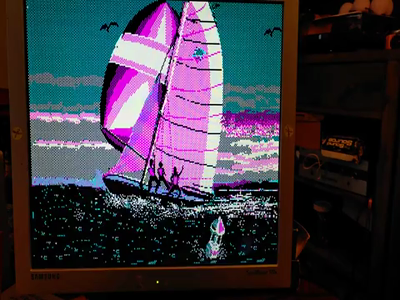 A 4:3 flatscreen monitor displays a a single-scene CGA animation of three people on a sailing board. The sea is black, the waves are white and blue, the people and their sails are pink, black and white.

Cheerful music plays from an early sound card.