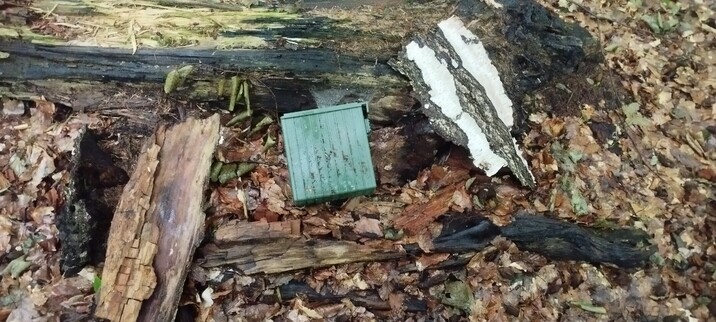 Grüne Kunststoffbox vor einem alten Birkenstamm, der flach auf dem Waldboden liegt.