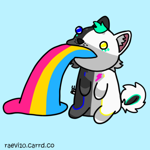 A half white half dark gray husky vomiting up the colors of the pansexual flag