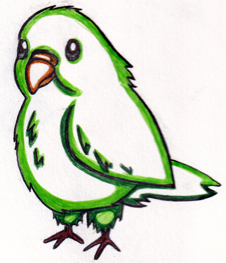 Ballpoint pen drawing of a lovebird with stylised coloured outlines.