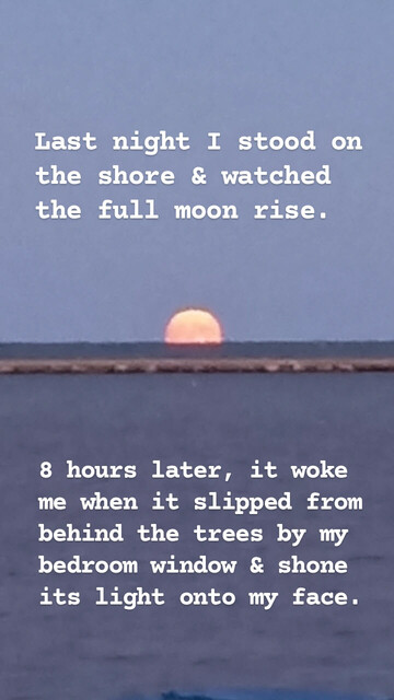 Looking east out from Lake Michigan's shoreline. Sky is a dusty blue with the lake waters a darker shade of that blue. The line of the stone breakwater crosses the water at its upper edge. An apricot-colored full moon can be seen rising on the horizon, about 3/4 of it showing.

Text over the sky reads "Last night I stood on the shore & watched the full moon rise." Text over the water reads "8 hours later, it woke me when it slipped from behind the trees by my bedroom window & shone its light onto my face."