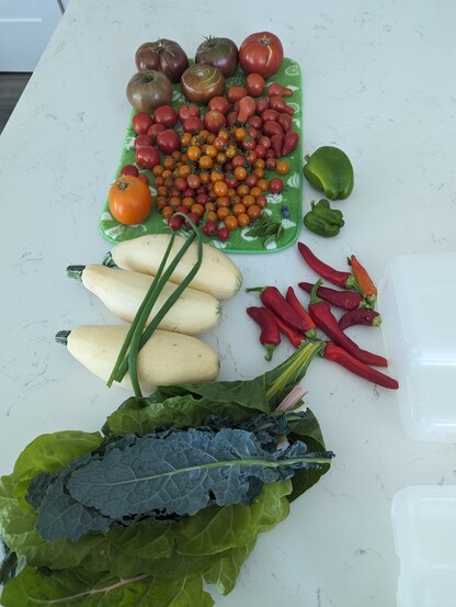 Garden vegetables gathered on a kitchen island