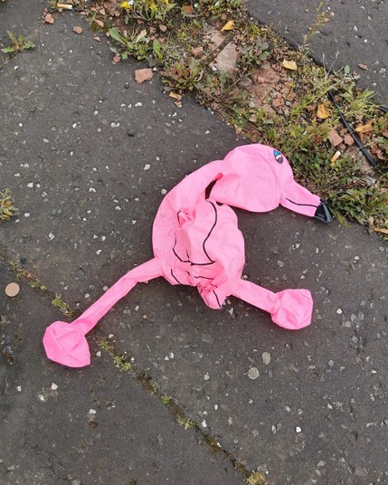 Litter. A deflated inflatable flamingo.