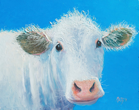Oil painting portrait of a white cow on a blue background. Painted with a palette knife for a thick, furry texture.