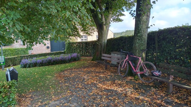 Zwei ParkbÃ¤nke unter LaubbÃ¤umen. Links davon eine Lavendel-Beflanzung als rundes Beet einer kleinen Parkanlage mit Rasen und geschnittener Hecke. Ein rosa Fahrrad lehnt zwischen den zwei BÃ¤nken an einem Baum.