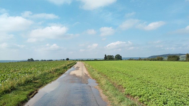 Ein Ausblick über einen Feldweg mit grüner Bepflanzung rechts und links. Der Himmel ist wolkig und der Blick reicht weit über das umliegende Land.
