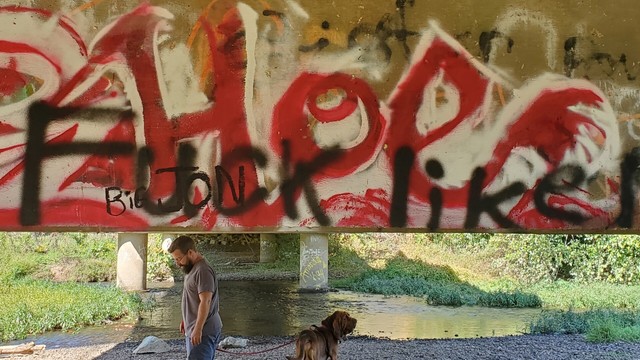 There's a "fuck like" sprayed in black over this, but here is "Hoe" in red on white background, an attempt at old english font style. Sprayed across the horizontal support under a bridge.
Bearded white man with leashed bloodhound walks beneath the beam in a pebbly sandbar in a creek that runs under the bridge.