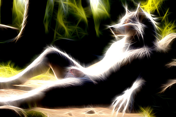Male werewolf relaxing in forest, coloured bright 'electric' line highlights