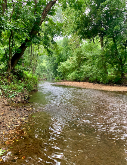 This section of Darby Creek has a shallow riffle that leads to a pool below where the water becomes slower. You can also see a flat beyond the riffle and an inner bank to the right that looks like a little pebble beach.