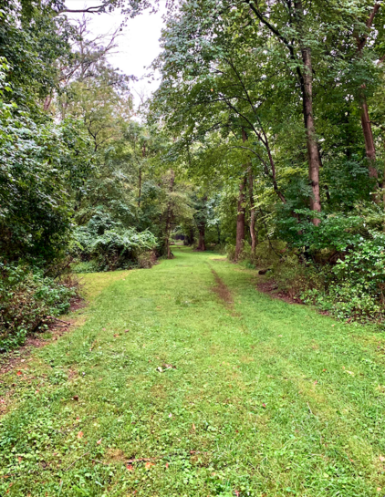 Surrounded by tall trees and bush, this is a nice walking trail along Darby Creek. It seems that the township recently mowed the grass, so, it was easy to walk while fishing.