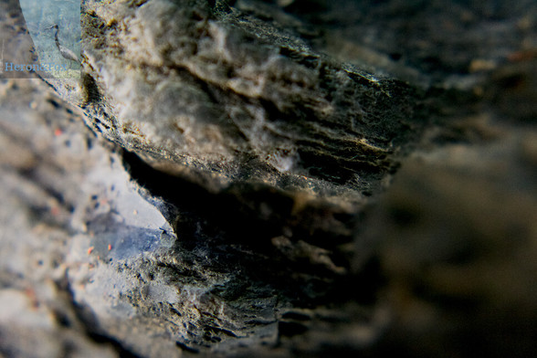 A close-in, macro photograph of a black rock in a forced-perspective shot that makes it look like a cliff face.