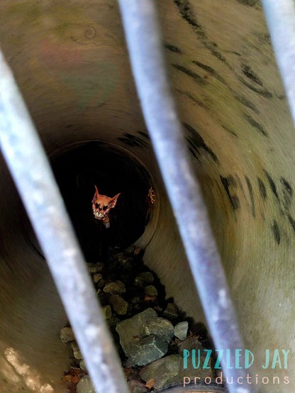 a bat like humanoid in a dark tunnel