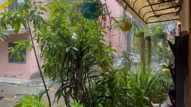 A sudden downpour in front of our family's house in Delhi.