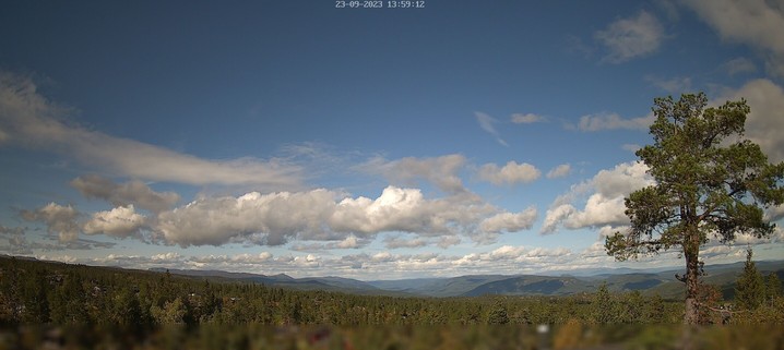 This webcam usually shows a view of the sky with trees in the foreground. It's a cloudy day. It's 50 °F/10°C.