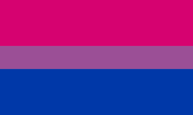 The Bisexual Pride flag of 1998. It consists of three horizontal bands. The band taking up the top two-fifths is pink, to represent "the gay world". The band taking up the bottom two-fifths is blue, to represent "the straight world". Both meet in a band that takes up the central fifth of the flag, in a shade of purple that represents the blending and overlap of those two worlds. These days, the more widely-accepted interpretation of the symbolism behind the Bi Flag's colors is a whole lot less binary.