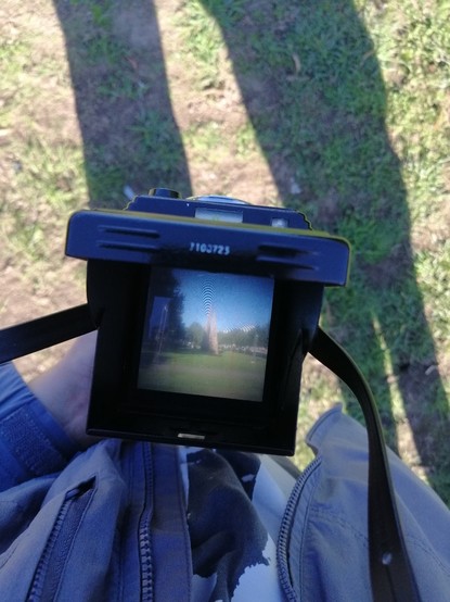 Top down view of the viewfinder of a TLR film camera. It shows the view of a green park with two pyramids