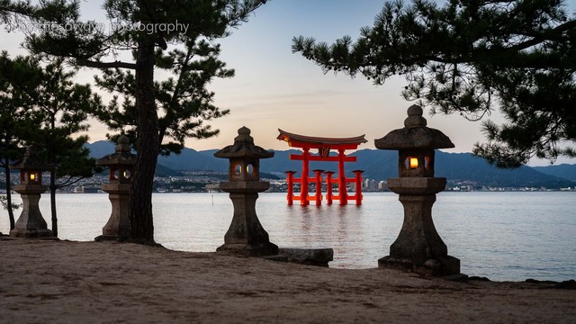 Red torii gate in the water at dusk, with several stone lanterns and pine trees surrounding it.