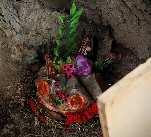 colorful shrine beneath an old tree, adorned with tiny flowers and partially obscured by a piece of wooden board.