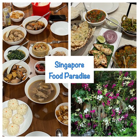 Few Singapore Food variations