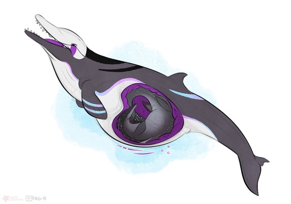 A large prehistoric whale has consumed a relatively small marine reptile. The purple stomach walls have forced the reptile into a curled up ball. The whale is pleased.