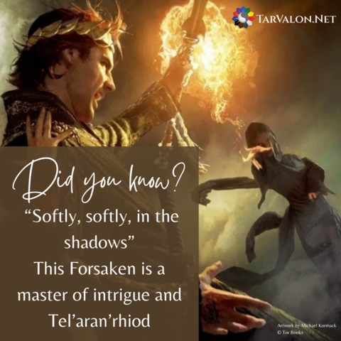 Background is the cover art from WoT book 11, Knife of Dreams. The scene shows Rand al'Thor shielding himself from a surprise attack by Semirhage, one of the Forsaken. Rand wears a golden crown and Semirhage is covered in dark clothes from head to toe. Text reads: Did you know? "Softly, softly, in the shadows" This Forsaken is a master of intrigue and Tel'aran'rhiod. TarValon.Net's logo at top right.