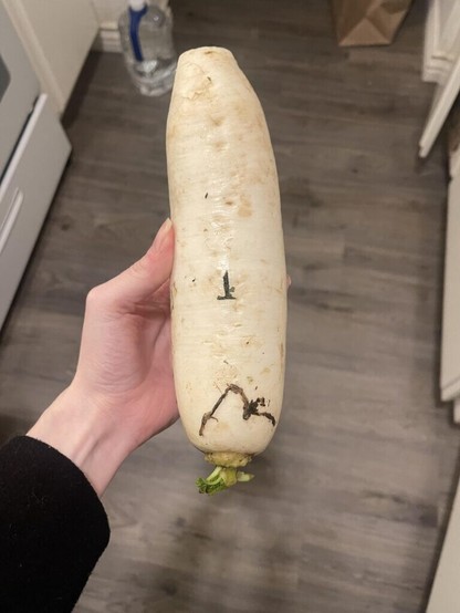 My Instacart shopper insisted this was horseradish root but doesn’t look like it. What do you think?