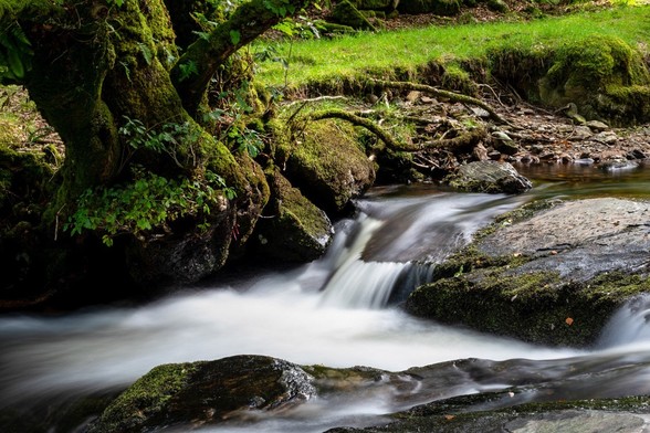 Standing in the middle of a forest looking at a stream tumbling over rocks. Everything is covered in green moss or grass. The water is softened by long exposure. It looks so peaceful.