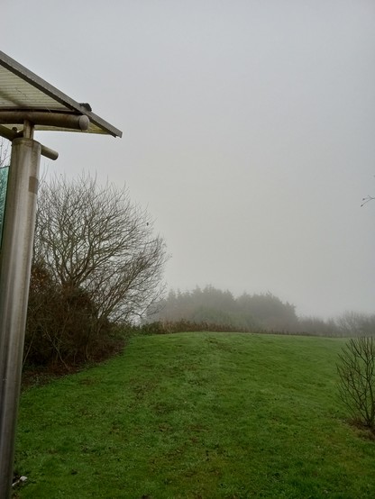 A foggy morning in Ireland, taken from a bus stop.