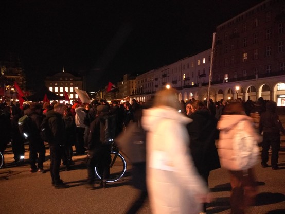 Kleiner Ausschnitt der Demogruppe(rechte Hälfte der Menge), einige Antifa-Fahnen sind zu sehen. Im Hintergrund rechts die Alsterarkaden.
