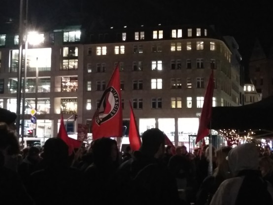 Demoteilnehmer*innen mit Antifa-Fahnen. Gebäude mit erleuchteten Fenstern im Hintergrund