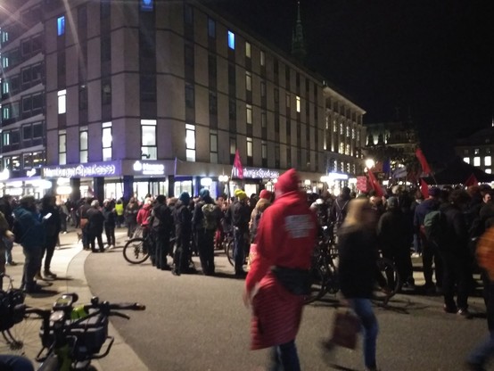 Andererer Ausschnitt (linke Hälfte der Menge) der Demonstrierenden, die in Grüppchen zusammenstehen. Im Hintergrund ein hohes Gebäude, dass das Hamburger Rathaus verdeckt, dass einige hundert Meter dahinter liegt.