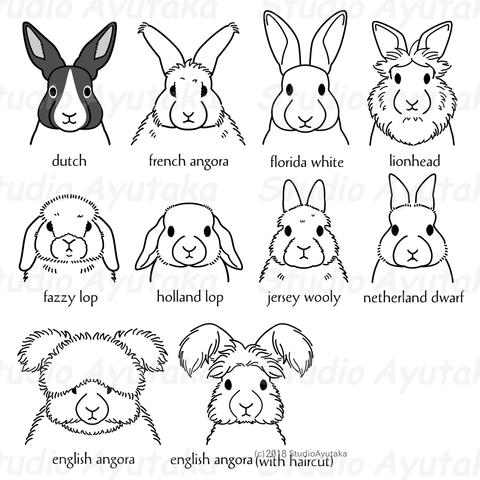 a clip art bundle of deferent breeds of rabbit heads, line drawing.