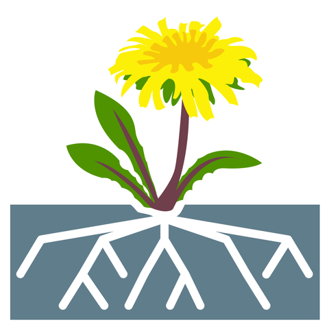The UncensoredDNS logo, a drawing of a yellow dandelion growing out of concrete with the roots taking the shape of a tree hierachy like the DNS