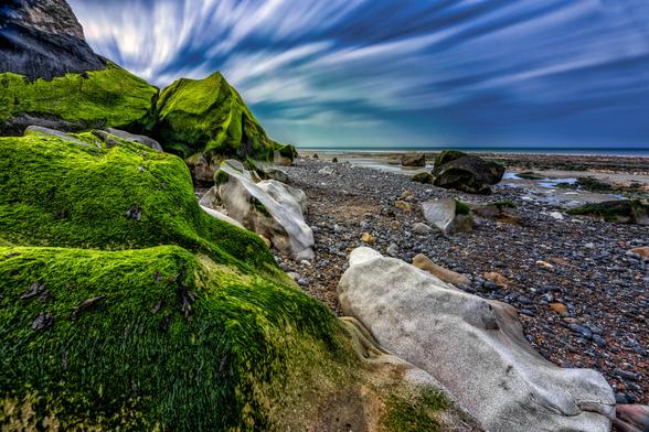 Langzeitaufnahme algenbewachsener Felsen bei Ebbe an einem Strand in der Normandie.
