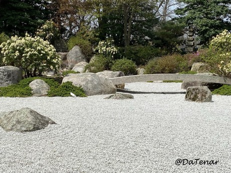 A photo of the raked gravel, rocks, & bridge with surrounding early spring vegetation of the garden during a brief sunny moment
