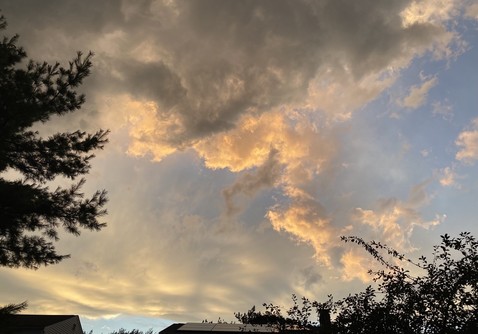 Frames by trees & rooftops, grayer than white cumulonimbus clouds, but now edged with pink & covering 3/4 of the sky