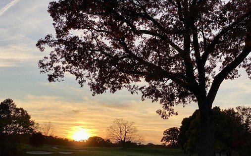 Sunset over the golf course fence. A tree to the right frames the setting sun filtered by clouds on the horizon. 
