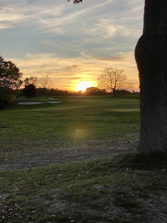 Close up of the same sunset through the fence, grass in the foreground, tree trunk to the right, the sun an attenuated yellow glowing orb on the horizon.