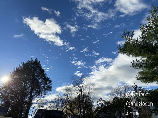 The view of the blue marine sky, white cumulonimbus clouds, tree & roof tops from where I’m sitting 