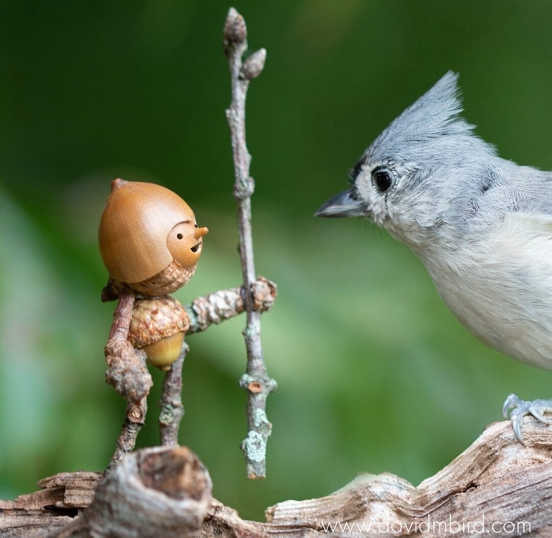 Miniature Figure and Real Bird